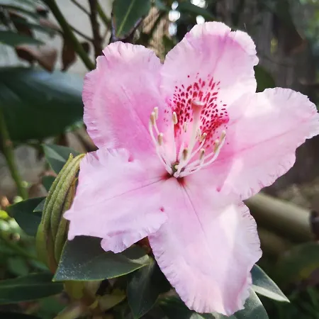 D'hotes Avec Petit Dejeuner Bed & Breakfast