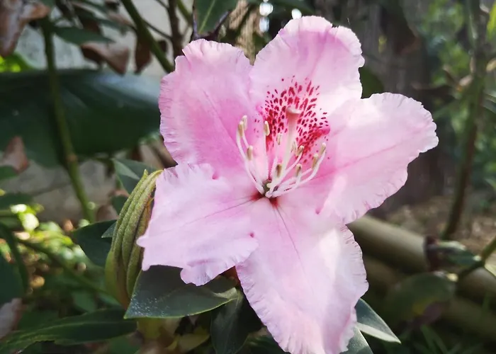 D'hôtes Avec Petit Déjeuner Bed and breakfast